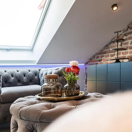 Crest - Riverside Lofts Mit Parken I Balkon I Kueche I Regendusche Passau Exterior photo
