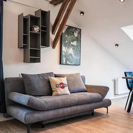 Crest - Riverside Lofts Mit Parken I Balkon I Kueche I Regendusche Passau Exterior photo