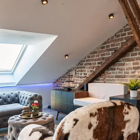 Crest - Riverside Lofts Mit Parken I Balkon I Kueche I Regendusche Passau Exterior photo