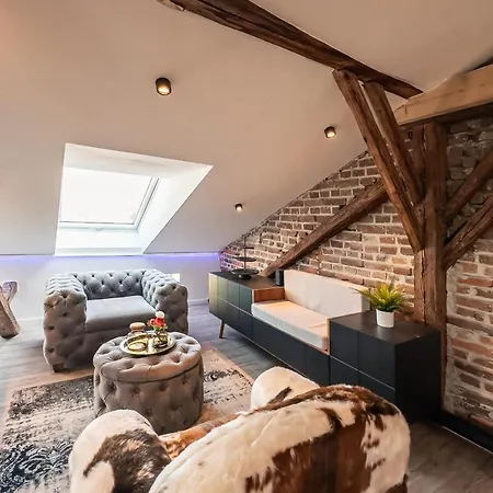 Crest - Riverside Lofts Mit Parken I Balkon I Kueche I Regendusche Passau Exterior photo