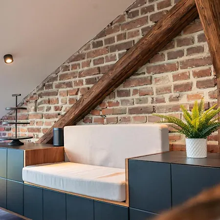 Crest - Riverside Lofts Mit Parken I Balkon I Kueche I Regendusche Passau Exterior photo