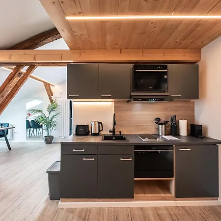 Crest - Riverside Lofts Mit Parken I Balkon I Kueche I Regendusche Passau Exterior photo