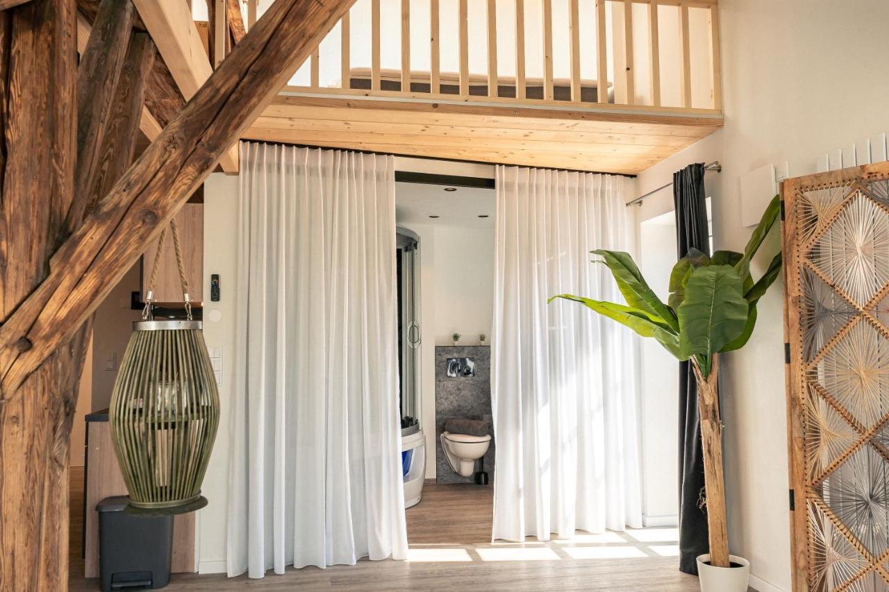 Apartment Crest - Riverside Lofts Mit Parken I Balkon I Kueche I Regendusche Passau